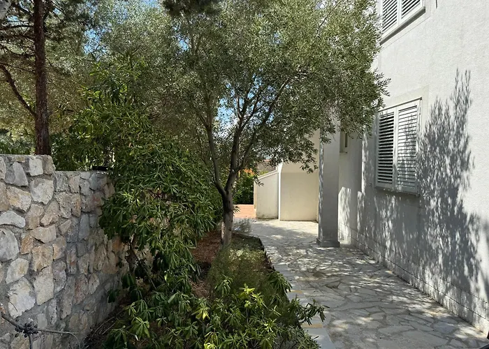 Sea Capital Edition 2 *