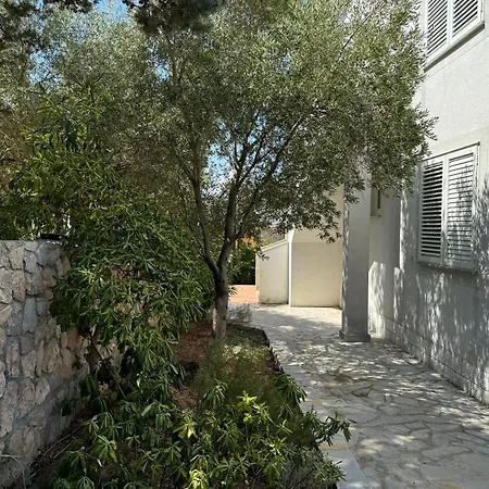 Sea Capital Edition 2 *